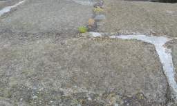 sandymount tower 10995.jpg